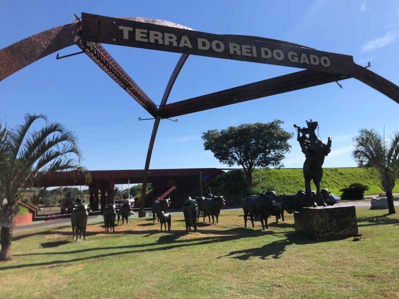 Um, cavalo, pular, ligado, cerca madeira